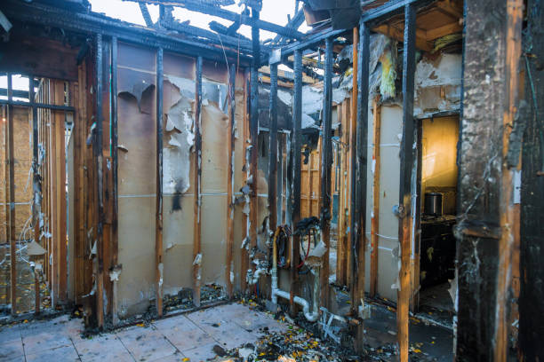 Professional Fire Damage Removal technician working in Pahrump, NV